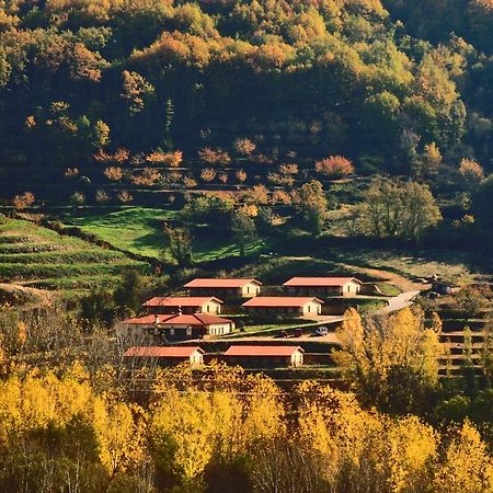 Apartamentos Rurales La Vega Del Jerte Dış mekan fotoğraf