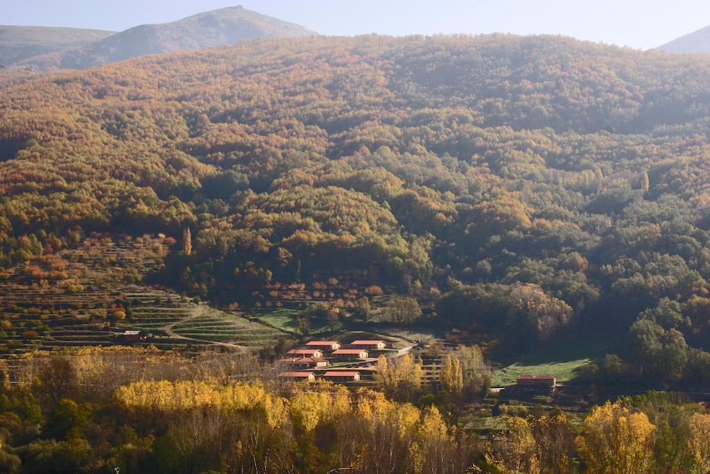 Apartamentos Rurales La Vega Del Jerte Dış mekan fotoğraf